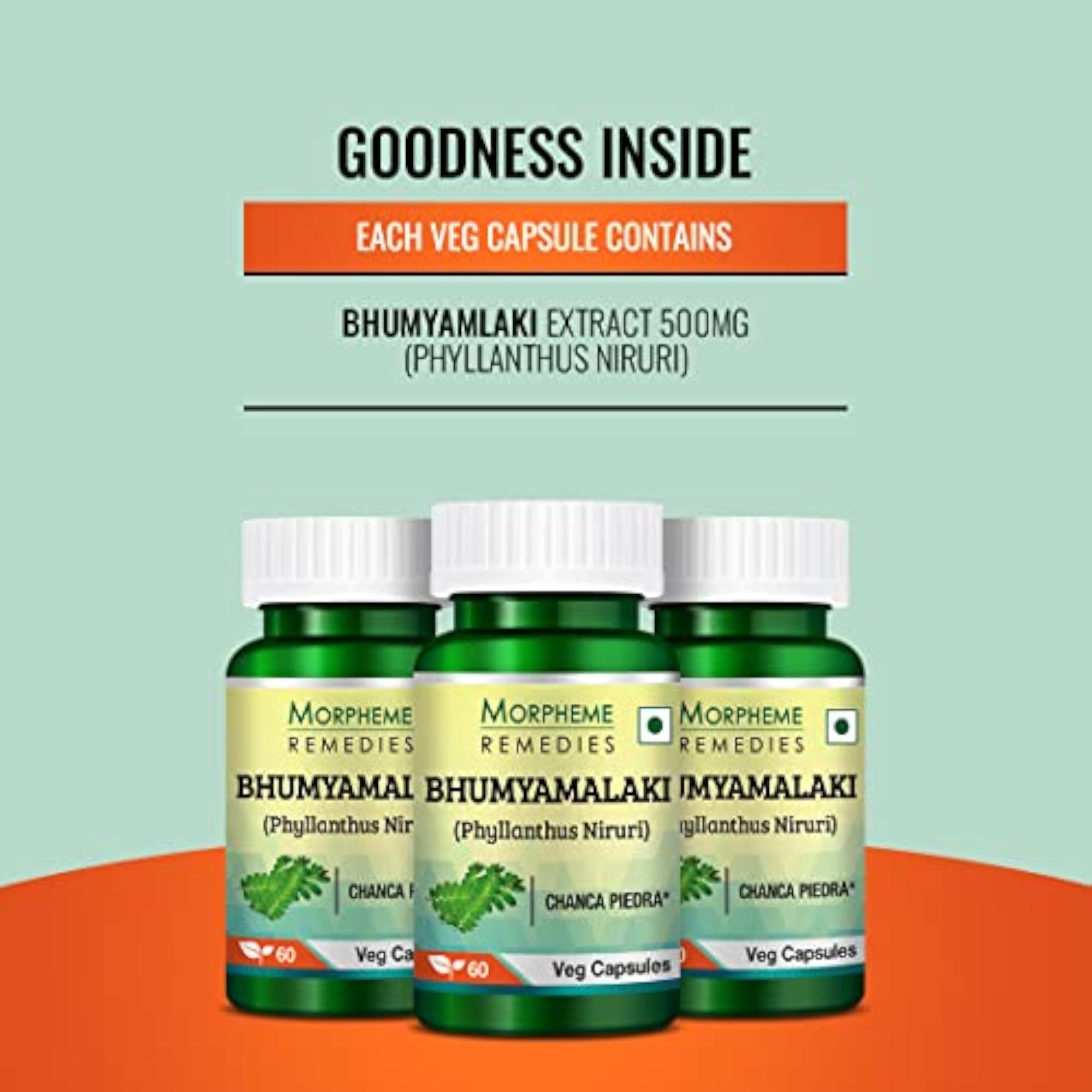 Phyllanthus Niruri Extract 500mg, 60 Veg Capsules
